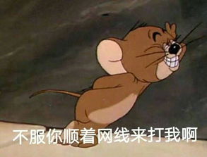猫和老鼠表情包精选有猫饼