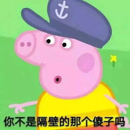 2017年最火表情包,承包了这一年所有笑点