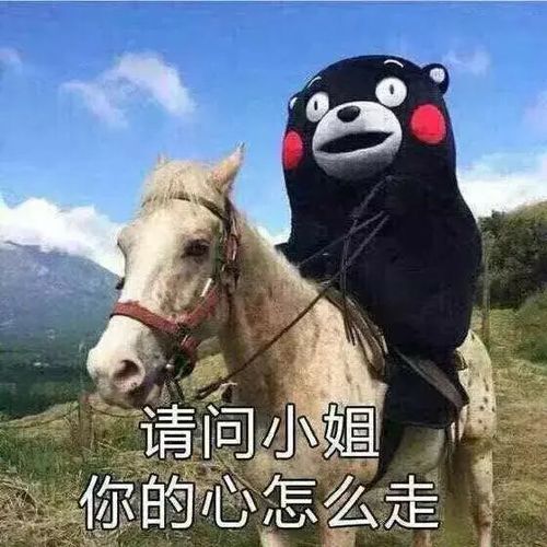 牵手手,从今以后一起走
