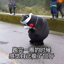 聊天怎能少了这些表情包呢