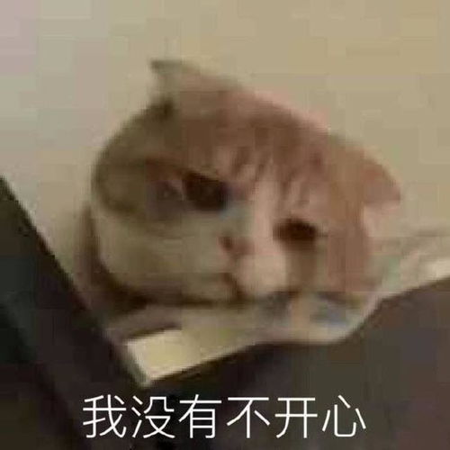 表情包很生气不想说话