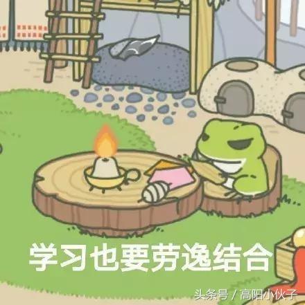 青蛙游戏表情包,我蛙回来了,我蛙要学习喽
