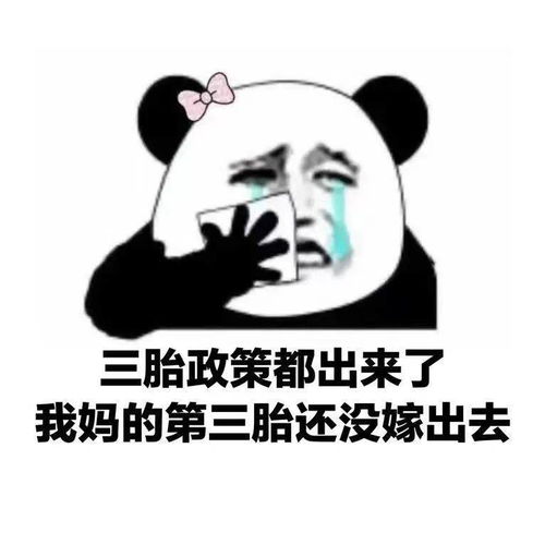 抖音热门表情包今日更新