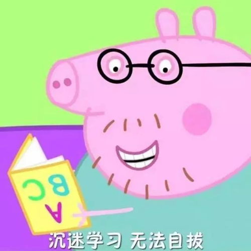 e起聊期末复习那些事儿