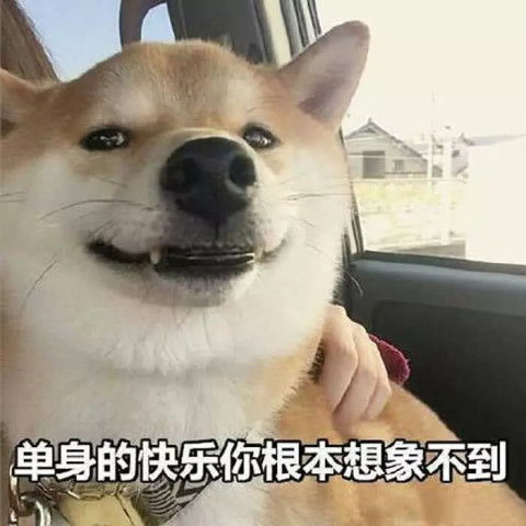 狗头护体表情包开心笑话