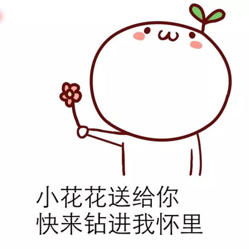 珠姐直播间上线,本周三晚7点半为你爆料