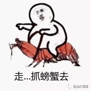 全体注意悉尼海滩已被顶级海鲜攻陷,竟然能免费抓从早到晚,小伙伴捞的爽翻了隔着屏幕哈喇子流了一地...