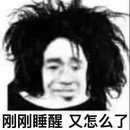 谢拉露妮丝表情包闲聊