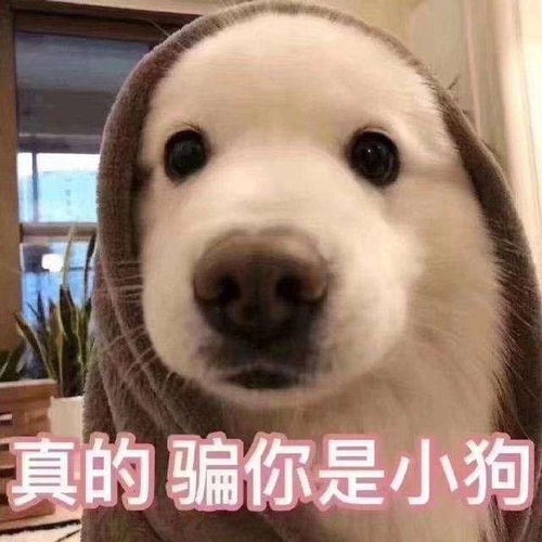 天气早知道丨冷空气整装待发接下来降温很凶猛