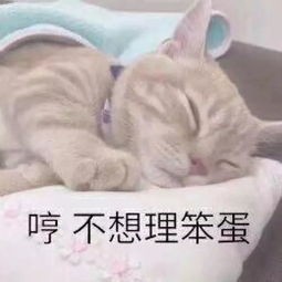一大波表情包,哈哈哈哈哈哈哈