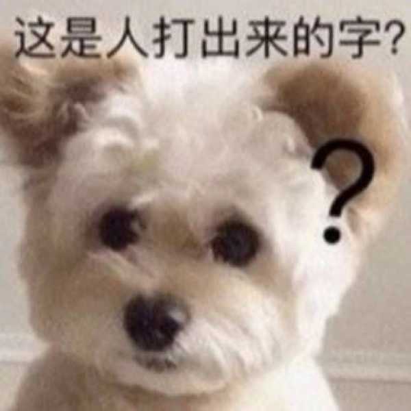 语文可以乱写,历史可以乱编,英语可以乱凑,数学不会,你真的只能