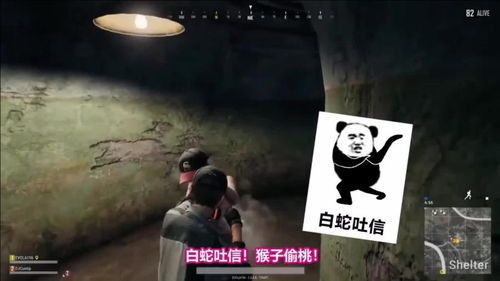 绝地求生路迷迷防空洞遇上一只野生瓜皮,差点被打成盒子