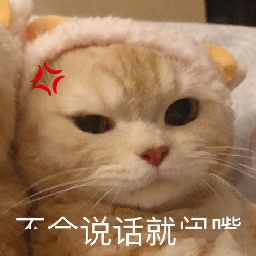 和舍友发生矛盾时,你怎样解决