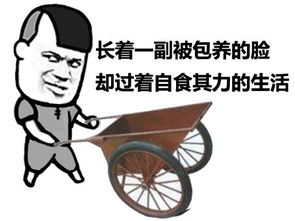 金馆长qq表情系列,全套恶搞金馆长图片