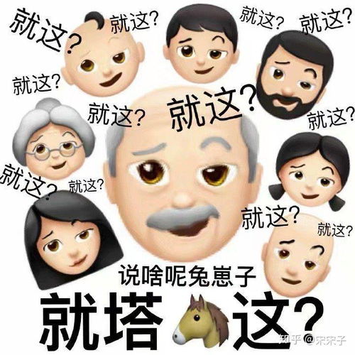 如何评价秃子和赵磊的走起来瓷