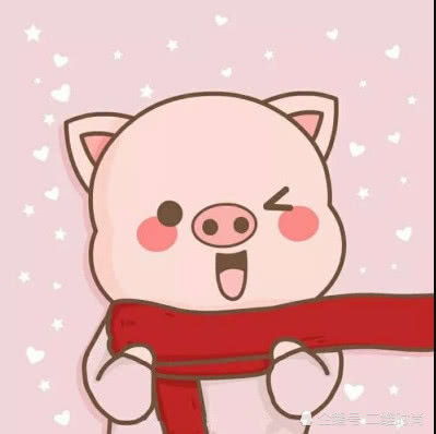 中学生超爱的情头,社会佩奇表情包,贴玻璃的猪猪很吸睛呀