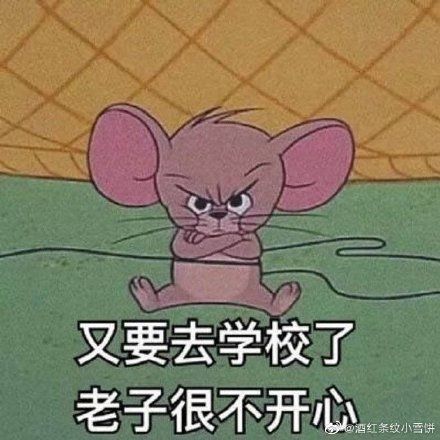 同样叫学校老年大学里的快乐为啥让人想象不到来看看青岛老年大学课程安排