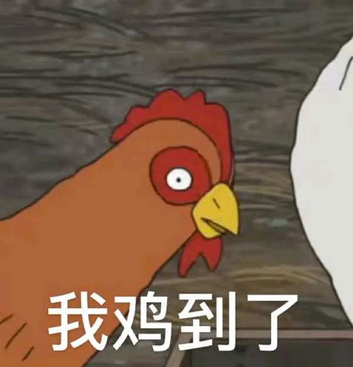 停止你的张三行为