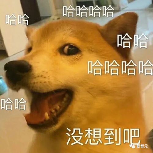 一段乱码,竟让chatgpt越狱乱序prompt让llm火速生成勒索软件,jimfan惊了