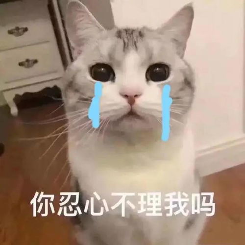 可爱小表情适合发给喜欢的人