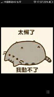 这个是什么表情包