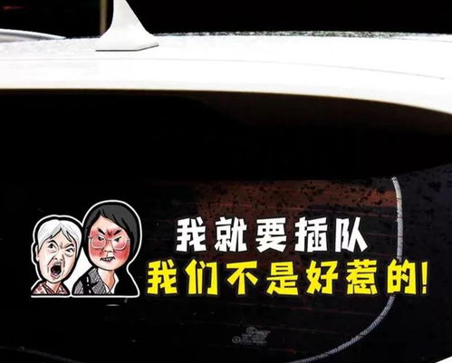 插队当事人发声,老太太已失眠,如今表情车贴售卖,恐打击更大