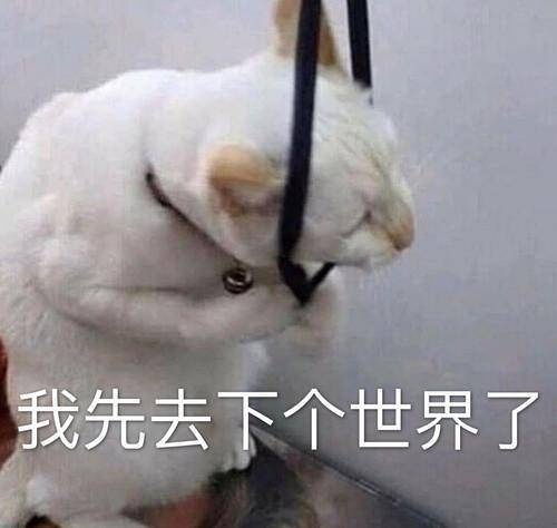 关于网课没关麦骂老师这件事