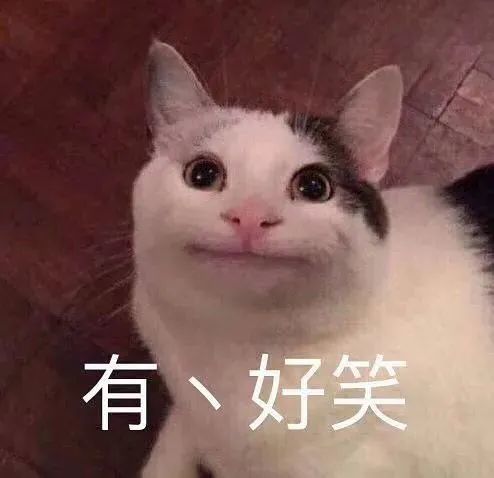 搞笑表情包搞笑表情包动图沙雕0704期