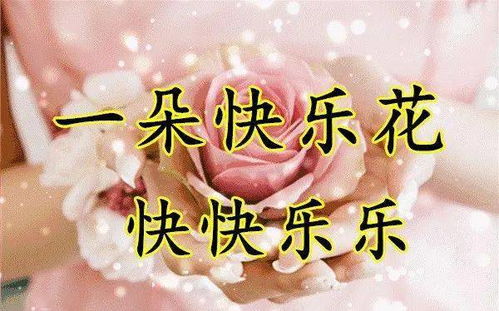中老年表情包,生活五朵花,人人需要它请查收