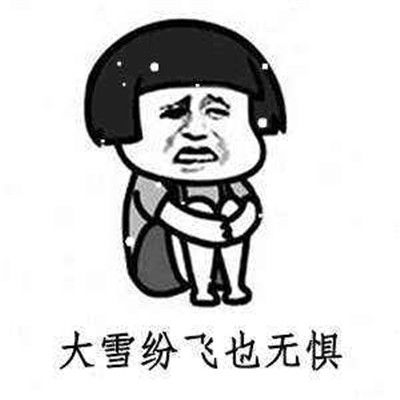 适合大雪节气的微信聊天搞笑表情包2020二十四节气大雪的表情包