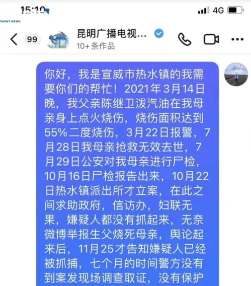 陈昌雨我一定要父亲死