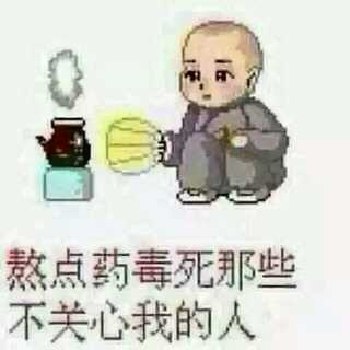 拖着行李箱远走表情包傻子