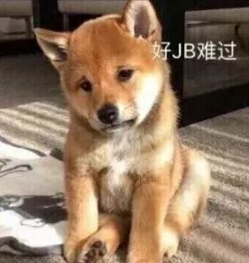 提醒冷空气明天杀到东莞最低16度更虐心的是...