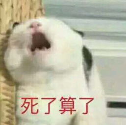 亲亲我的爱人表情包沙雕