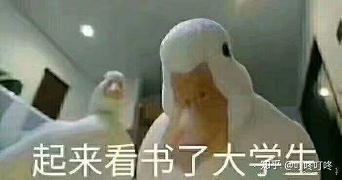 13度的韩国烧酒容易醉吗
