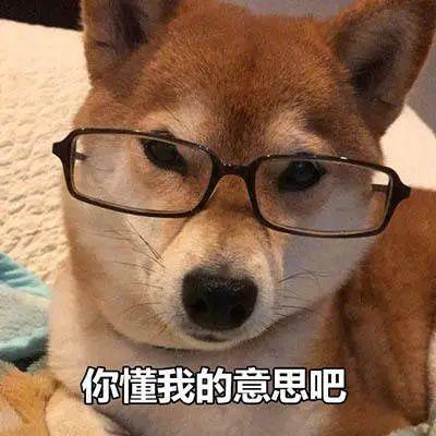 一款神奇的定寿,健康告知宽松到令人发指竟然还降价了