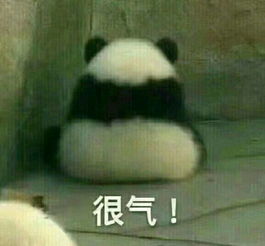 如果你男朋友回了你一个嗯字,之后你没有说一句话他也就一直没有再发任何信息,你会怎么样
