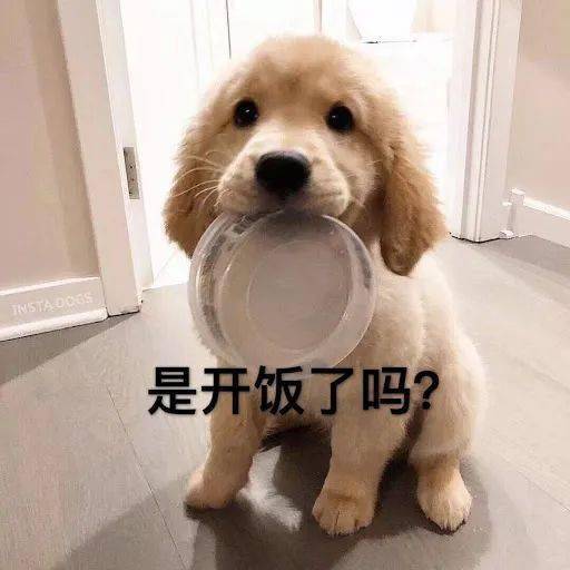 自习室最让人发指的6个行为,你最怕哪个