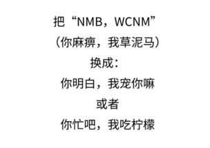 漫画2017年火爆朋友圈的怼人语录内附斗图表情包