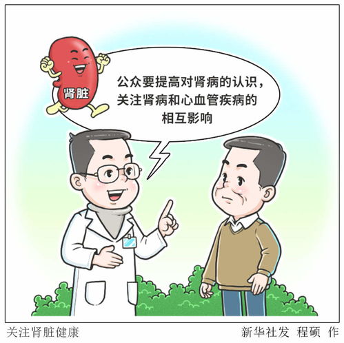 春季护肾老年人需做好健康综合管理