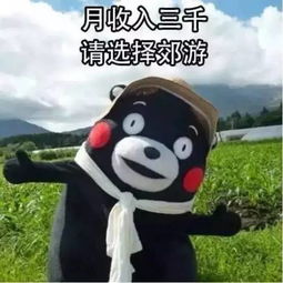 中秋假期即将来临,高速出行注意事项在这里