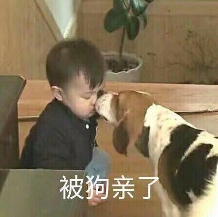 可爱搞怪风表情包,一波战斗力爆表的表情包