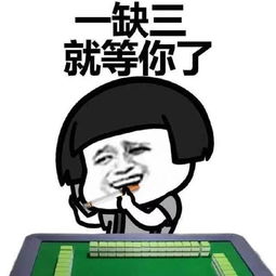 麻将借运气表情包