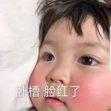 猫的表情包卖萌罗熙