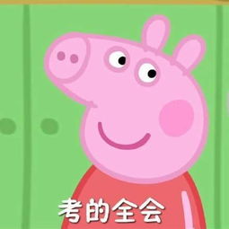 小猪佩奇毕业照表情包高清无水印大全