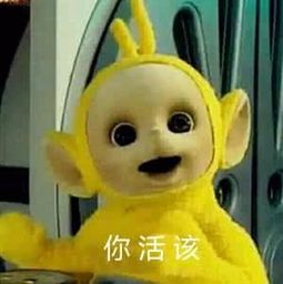 澳门精英和普通青年的距离原来是这样被拉开的