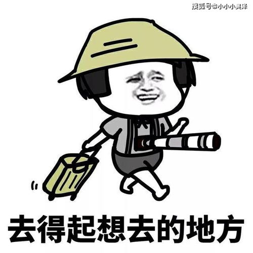 把人扔进垃圾桶表情包记者观察