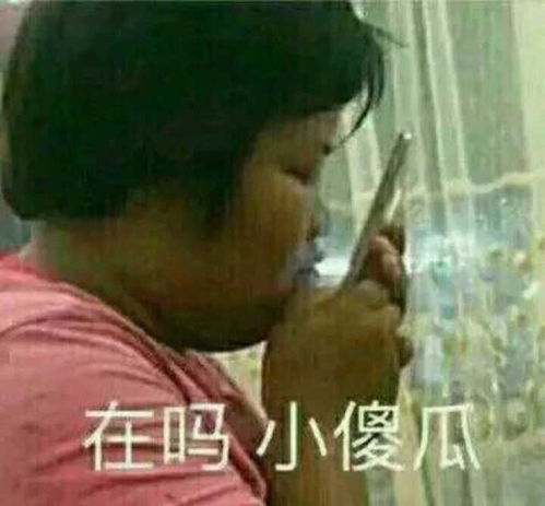 有哪些问女孩子在不在的表情包