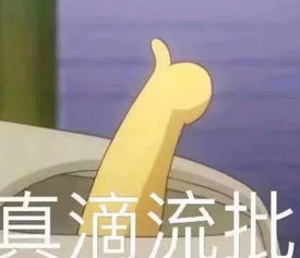 搞笑表情包火爆来袭,怼天怼地怼网友,过来人对不起,打扰了