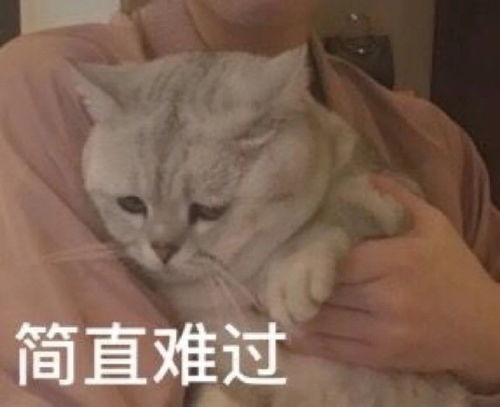 萌宠表情包哥哥,醒了吗